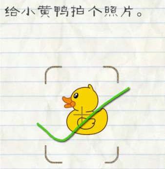 周四美国WTI原油收跌1.1% 特朗普要求OPEC降低油价